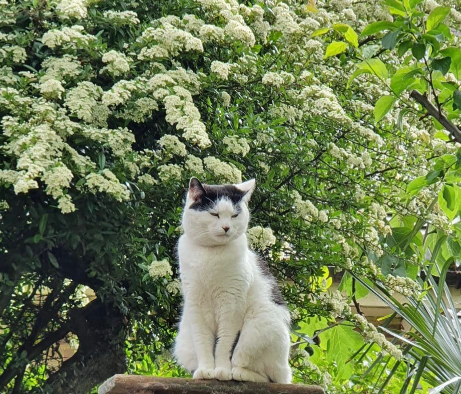 Jeremy Corbyn tweet media