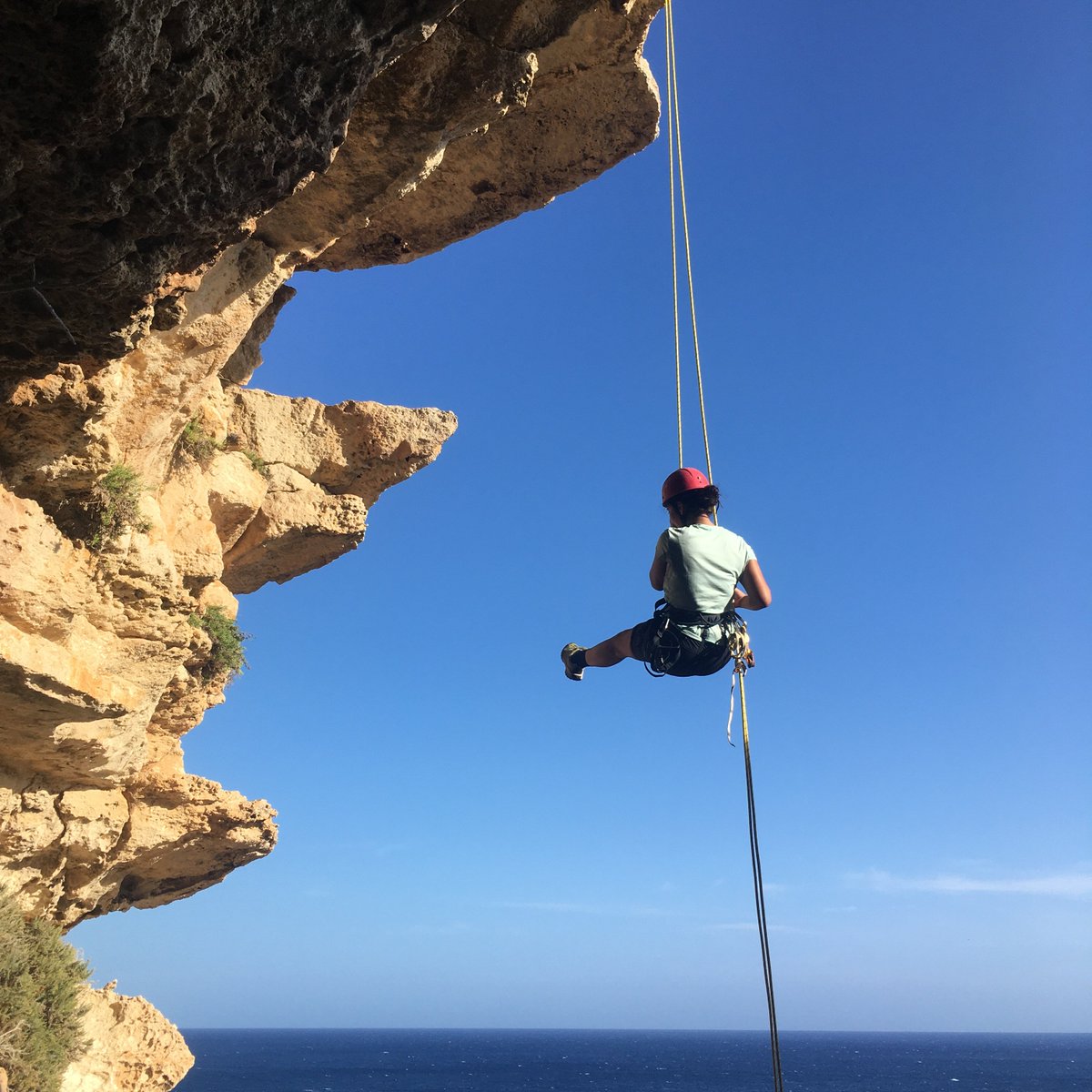 Today we dedicate a special post to our amazing seabird volunteer Ana! ❤️ 

She will unfortunately be leaving us soon, and we couldn't thank her enough for her work and dedication! Ana is an all-rounder, and has shared her skills in fieldwork, data analysis and reporting, and