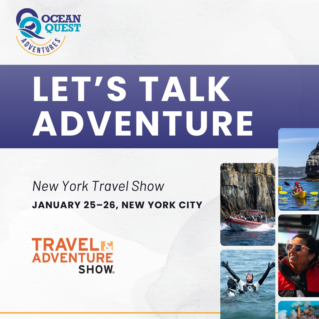Ocean Quest tweet media