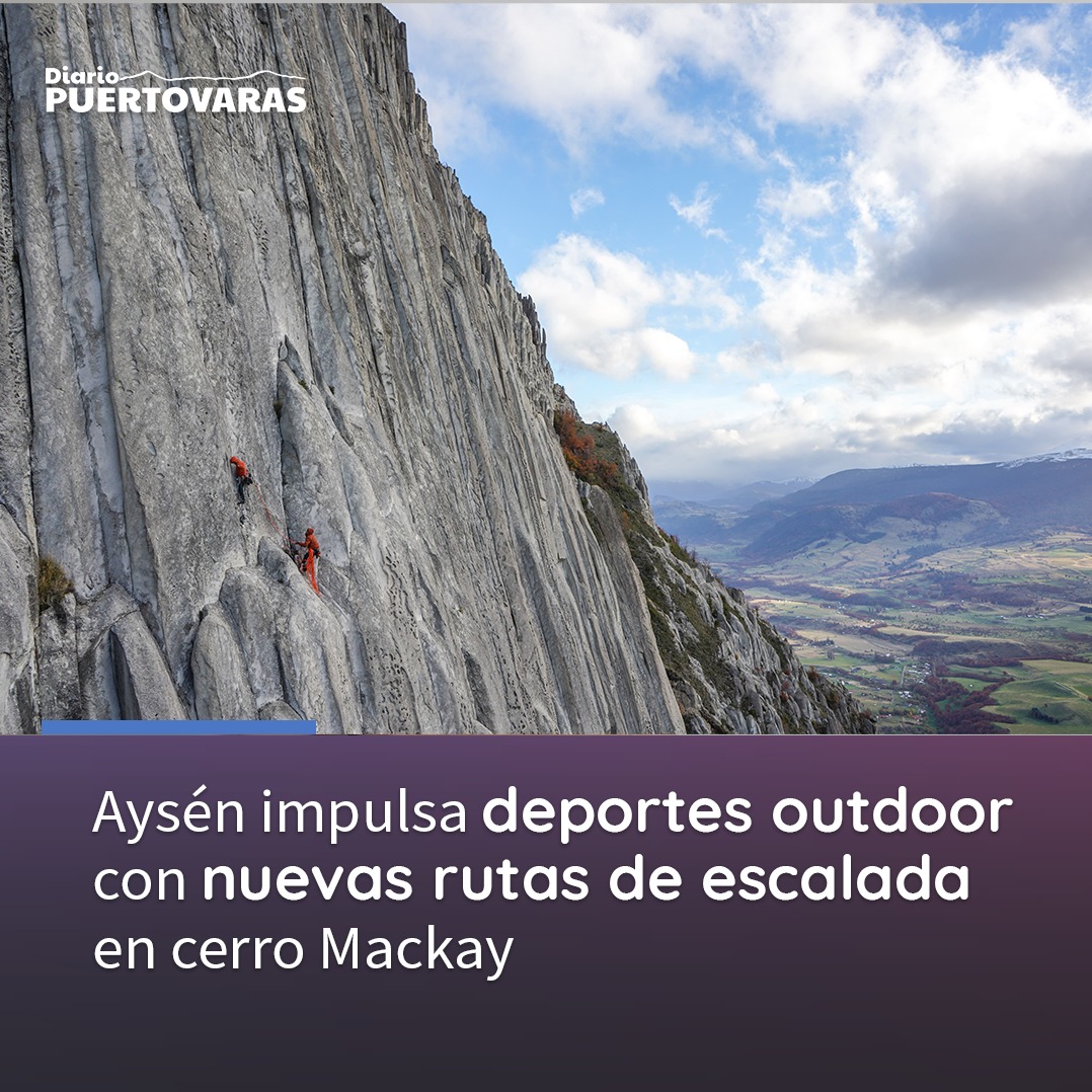 Diario Puerto Varas tweet media