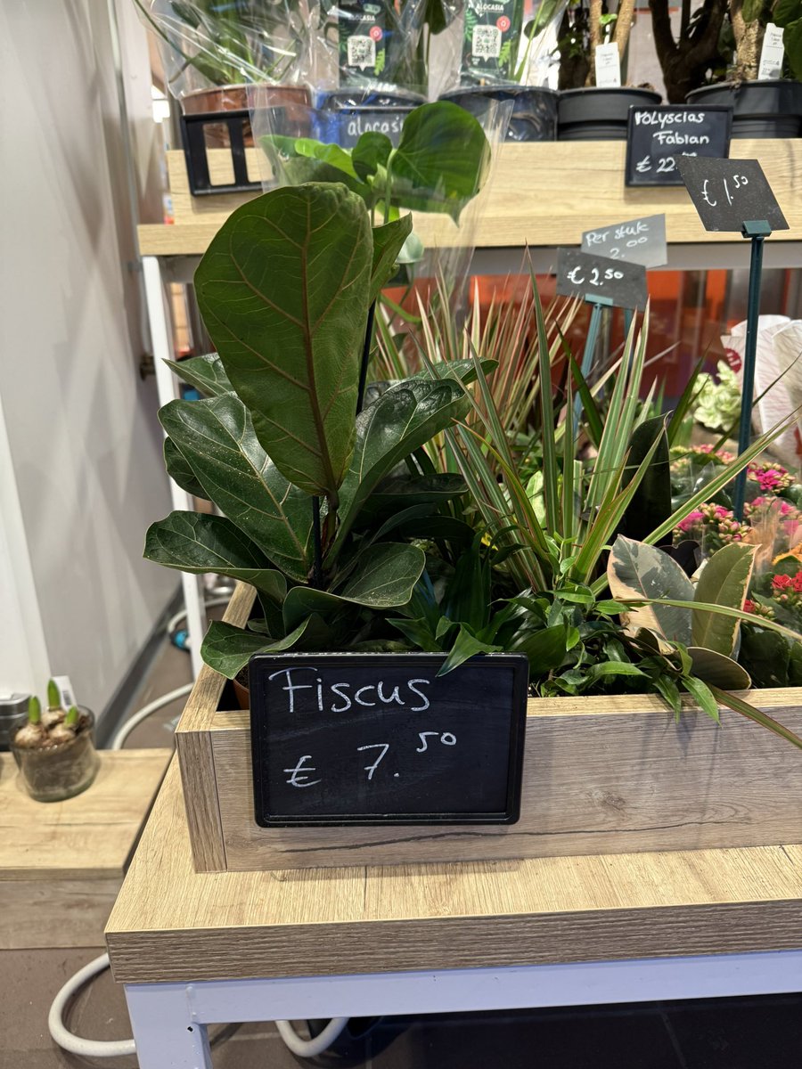 Bij de #albertheijn op de #tgoylaan is de #belastingdienst te koop. Helemaal niet duur. 🤭 #hoograven #utrecht