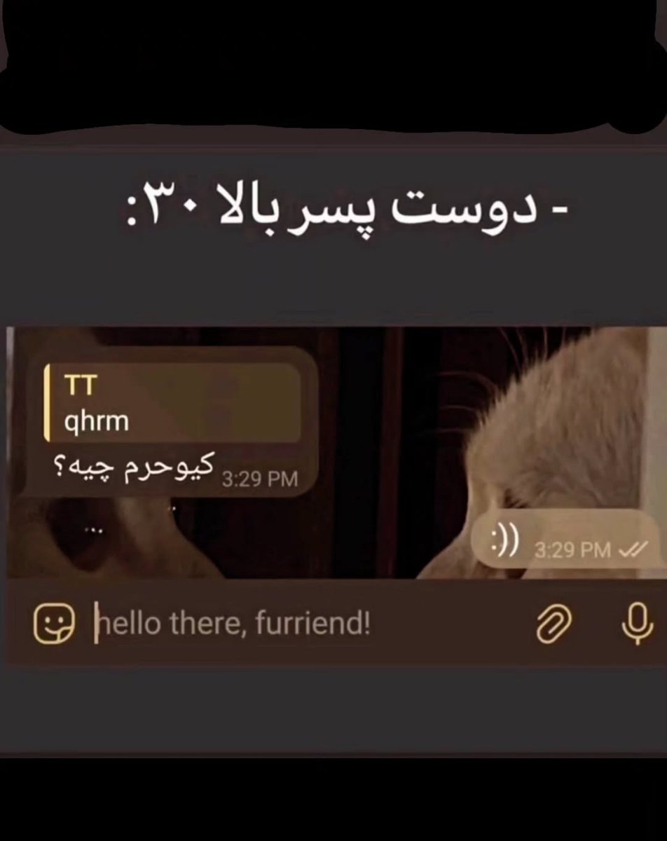 Alireza tweet media