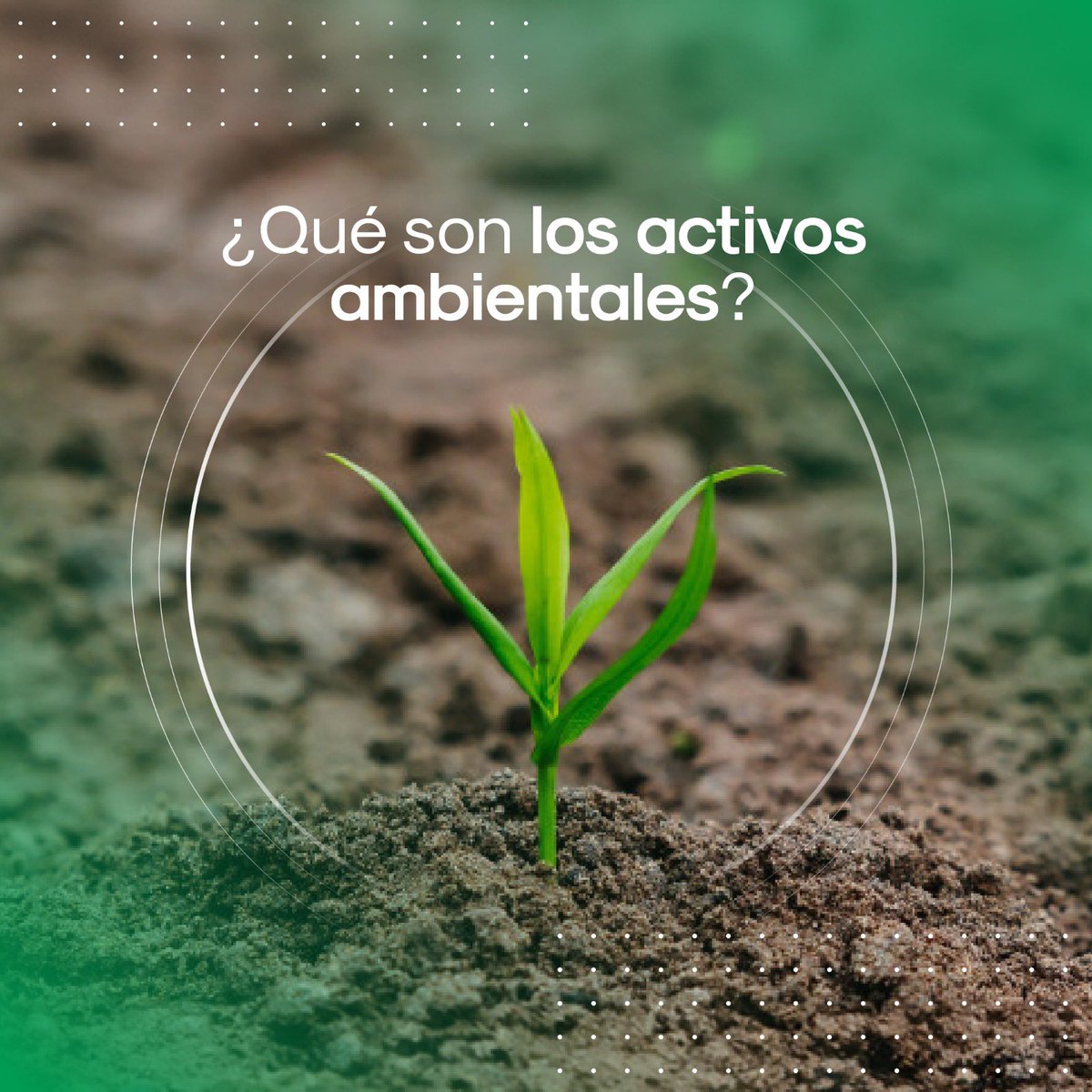 Plataforma PUMA tweet media