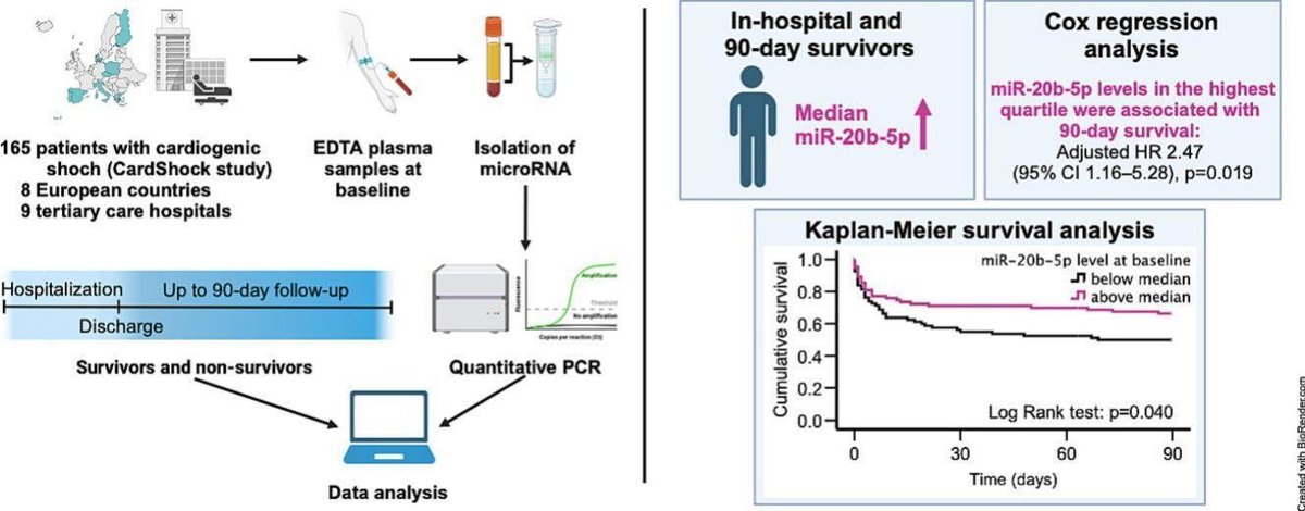 JMCC Plus (@jmccplus) on Twitter photo Can we predict survival after #CardiogenicShock?
New research from researchers <a href="/helsinkiuni/">University of Helsinki</a> and the Luxembourg Institute of Health show that a particular miRNA (miR-20b-5p) is associated with survival in cardiogenic shock
<a href="/Lakkisto/">Päivi Lakkisto</a> <a href="/SeguraCardio/">Diego Segura-RodrĂguez</a>
sciencedirect.com/science/articl… Can we predict survival after #CardiogenicShock?
New research from researchers <a href="/helsinkiuni/">University of Helsinki</a> and the Luxembourg Institute of Health show that a particular miRNA (miR-20b-5p) is associated with survival in cardiogenic shock
<a href="/Lakkisto/">Päivi Lakkisto</a> <a href="/SeguraCardio/">Diego Segura-RodrĂguez</a>
sciencedirect.com/science/articl…