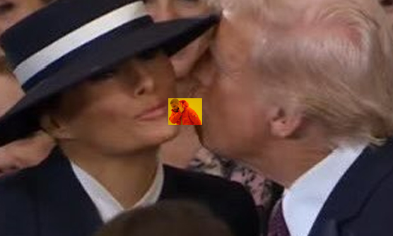 Dolors Boatella (@dolorsboatella) on Twitter photo 