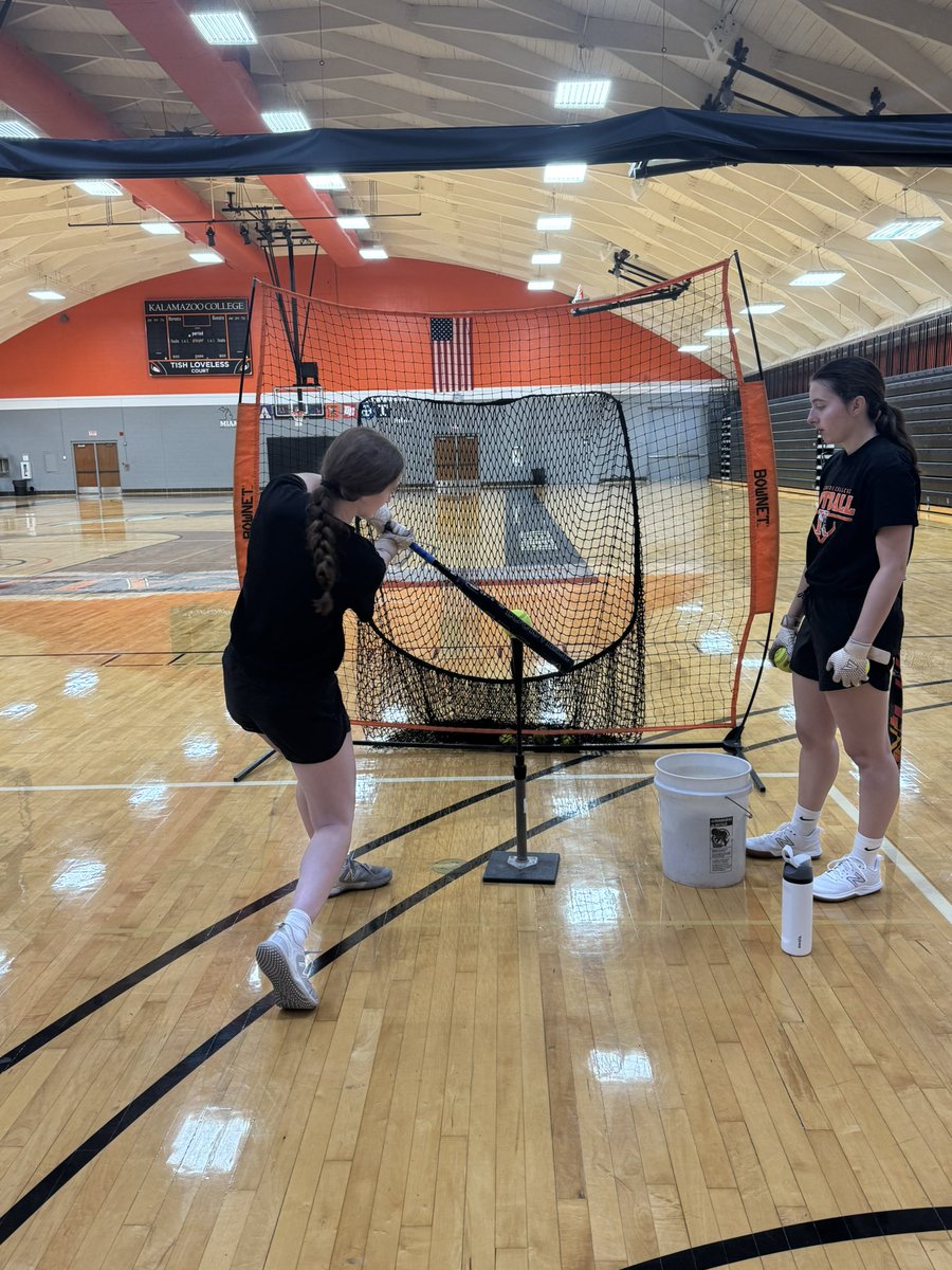 We are SO back🐝🥎