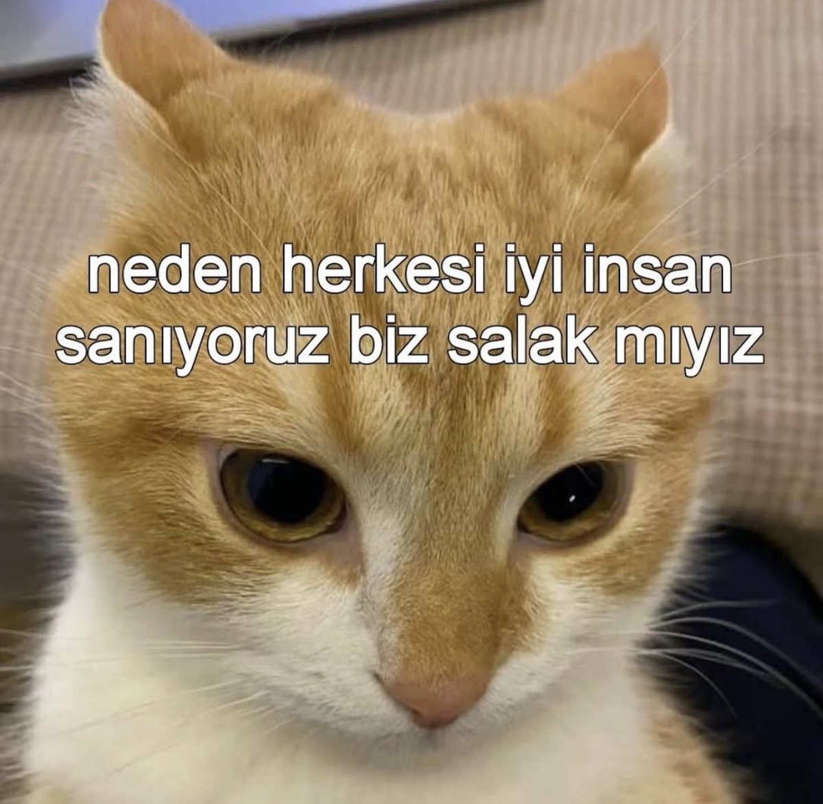 Mersaomer's tweet photo. https://t.co/3yA19lnkcg