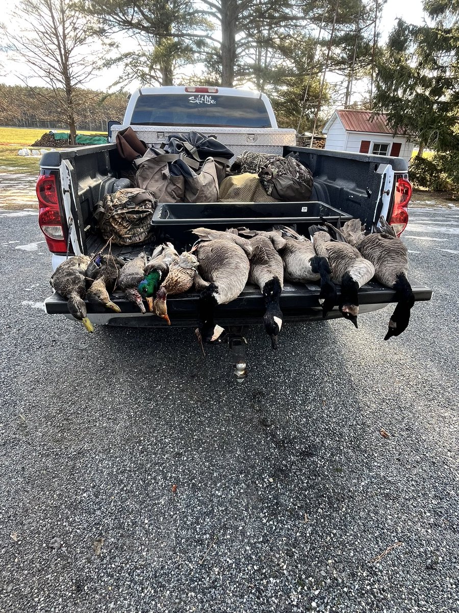Cadenphillips_'s tweet photo. Almost hit limit 

#nontypicalsupply #outdoorsdelmarva #eastcoastwaterfowl #waterfowl #ducksunlimitedinc #mrducksapparel #tidewe #goosehunt #maryland #marylandhunt #delmarva #hunting  #duckhunt #waterfowlhunting https://t.co/hGmA0Qp6Mg