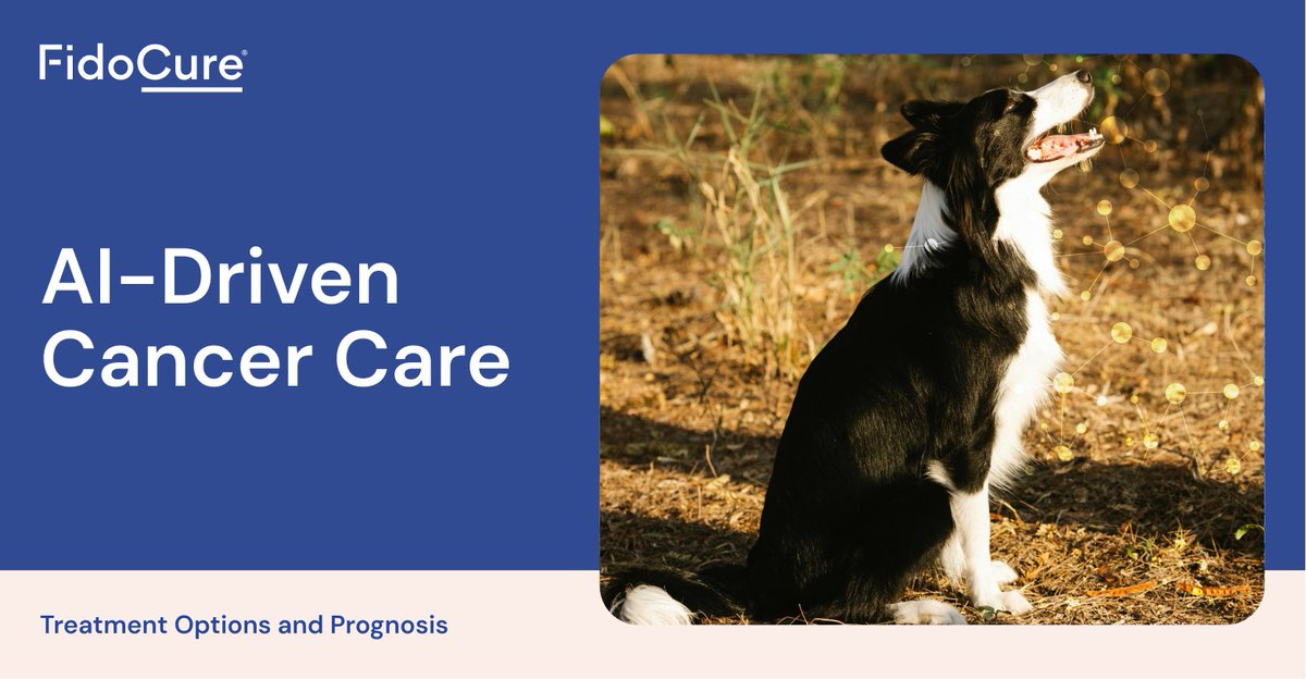 We’re advancing canine cancer treatment with our AI-driven targeted therapies, powered by the world’s largest real-world canine cancer database. Veterinarians can now offer safe and effective targeted therapies based on each individual dog.

blog.fidocure.com/fidocure-blog/…