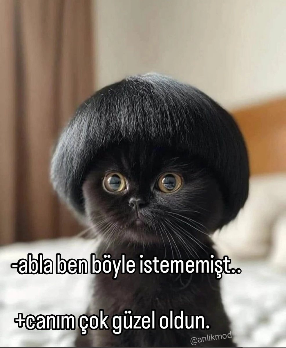 ANLIK (@anlikmod) on Twitter photo 