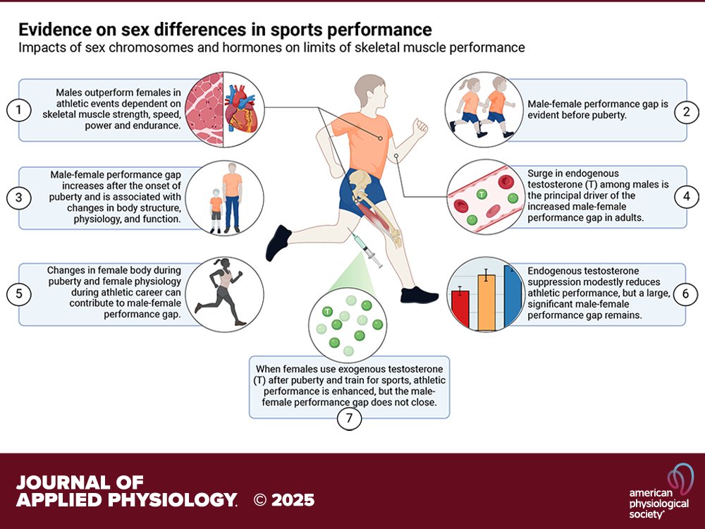 Journal of Applied Physiology (@japplphysiol) on Twitter photo 🚨Open Access🚨 Review from <a href="/DrMJoyner/">Michael Joyner</a> et al. (<a href="/Mayo/">Mayo Horkovič</a> <a href="/UMich/">University of Michigan</a> <a href="/UofIllinois/">University of Illinois</a> <a href="/jwsenefeld/">Jack Senefeld</a>) Evidence on sex differences in sports performance 🏃➡️🏊 #sexdifference #humanperformance #testosterone
🔓ow.ly/OtuB50UHblt 🚨Open Access🚨 Review from <a href="/DrMJoyner/">Michael Joyner</a> et al. (<a href="/Mayo/">Mayo Horkovič</a> <a href="/UMich/">University of Michigan</a> <a href="/UofIllinois/">University of Illinois</a> <a href="/jwsenefeld/">Jack Senefeld</a>) Evidence on sex differences in sports performance 🏃➡️🏊 #sexdifference #humanperformance #testosterone
🔓ow.ly/OtuB50UHblt