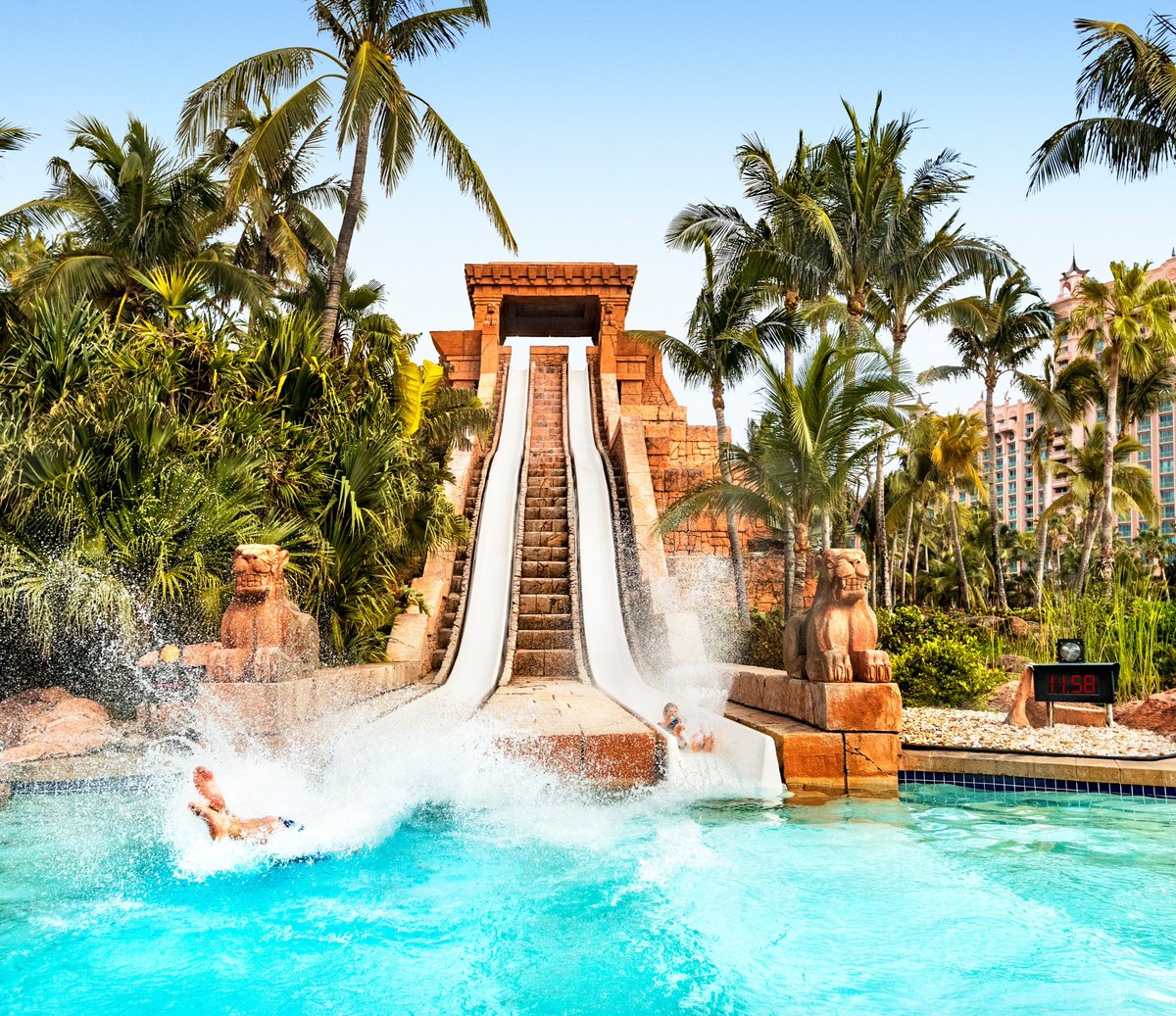 Nassau & Paradise Island, The Bahamas (@nassau_bahamas) on Twitter photo From plunging down thrilling water slides to exploring marine habitats, and relaxing on pristine beaches 🌴— <a href="/atlantisbahamas/">AtlantisBahamas</a> is your ultimate playground!
What’s on your adventure list? 🌊
Learn more: bit.ly/35MLEJy From plunging down thrilling water slides to exploring marine habitats, and relaxing on pristine beaches 🌴— <a href="/atlantisbahamas/">AtlantisBahamas</a> is your ultimate playground!
What’s on your adventure list? 🌊
Learn more: bit.ly/35MLEJy