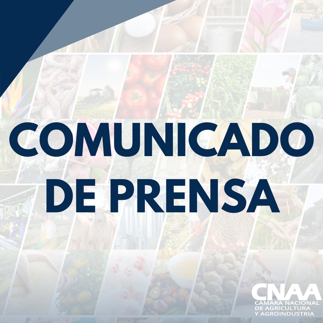#ComunicadoCNAA | Compartimos con ustedes el siguiente comunicado de prensa "Cámara Nacional de Agricultura y Agroindustria advirtió en noviembre sobre aumento de precios en los productos agropecuarios”.

cnaacr.com/wp-content/upl…