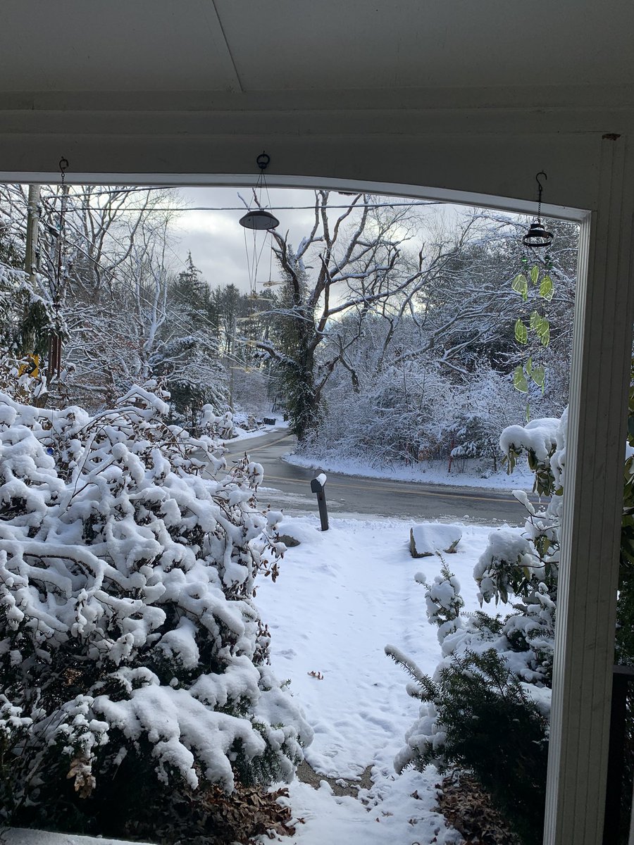 MisfitGamma's tweet image. What a beautiful morning