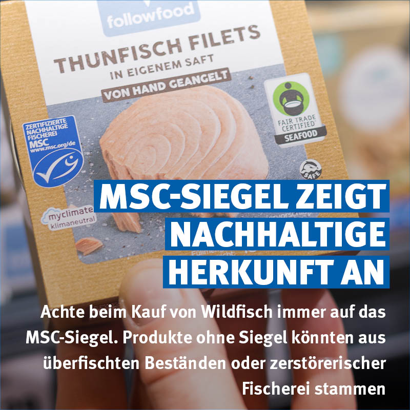 🌊 Gemeinsam gegen Überfischung: Wir wollen die globale #Fischerei in nachhaltige Bahnen lenken. Das geht nur, wenn alle mit anpacken. 🤝 

#Überfischung ist eine der größten Bedrohungen für die marine #Artenvielfalt und die Gesundheit unserer Meere.
➡️ Fast 38% der weltweiten