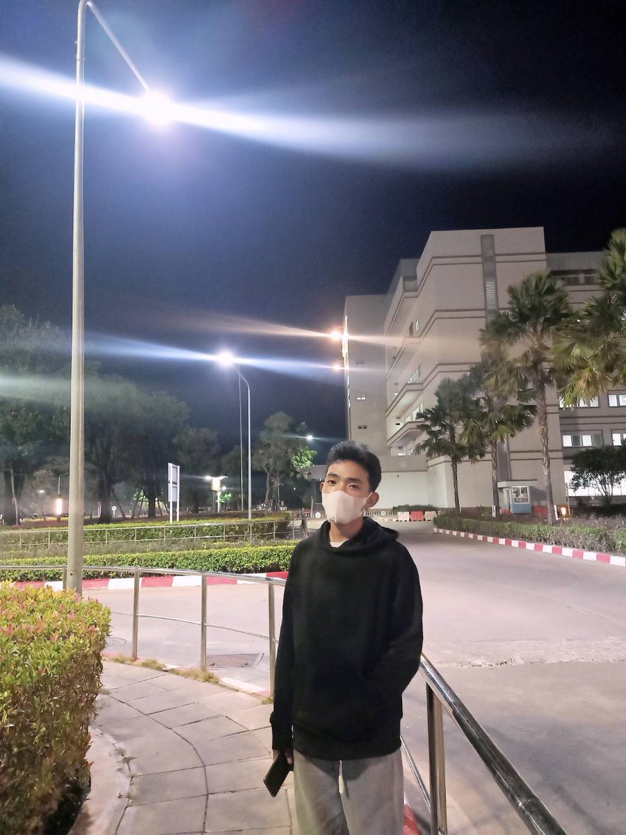 ฟีโรโมน tweet media