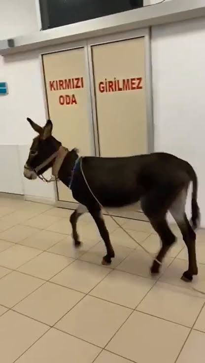 Gözaltına alınan Ümit Özdağ ifadesi alındıktan sonra hastaneye götürüldü