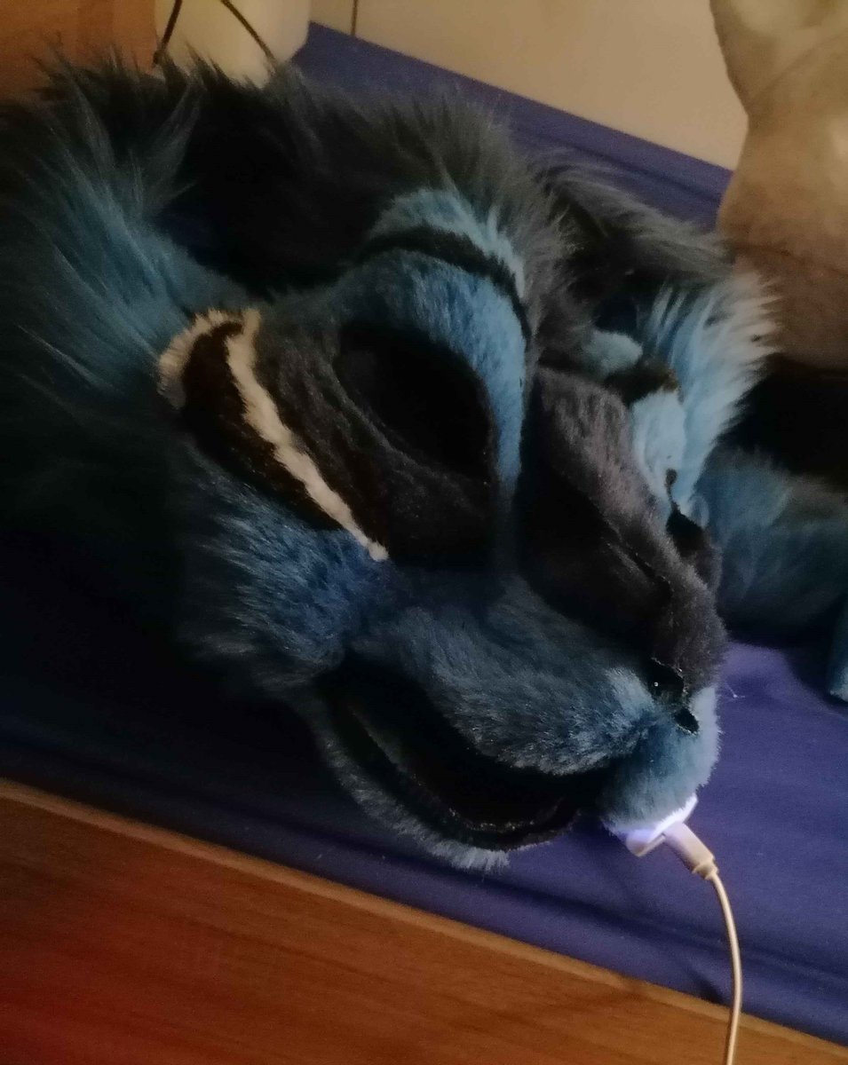 Were you ever wondering what a Fursuit Head looks like without the Base? It spooks me everytime xD #fursuit #creepy