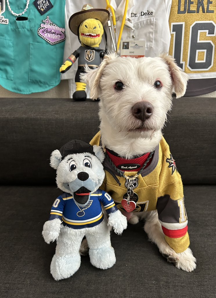 DekeHenriFurry's tweet photo. Iām ready for the hockey!
~ Dekeš¾
#GoKnightsGo
#VegasBornĀ Ā Ā Ā
#STLvsVGK
#GameFace https://t.co/fwHwz4psyz