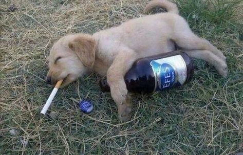 Los vicios se llevaron uno más