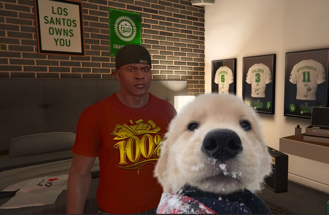 bub_cto's tweet photo. @Ashcryptoreal I am the cutest dog https://t.co/6ib8bKc260