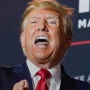 AntiTelevisaMx's tweet image. Exhorto a los Mexicanos a repudiar a todos los traidores a la patria, que apoyen a Donald Trump en sus Iocuras de declarar “Emergencia Nacional“ en la frontera y TERRORlSTAS a los narcos, empezando por #LaLocaDelSenado y la Rabadán. NO permitamos que ese RAClSTA ataque México. 🧐