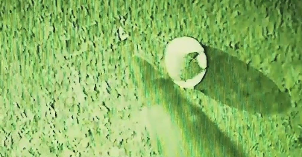 Matt Beall tweet media