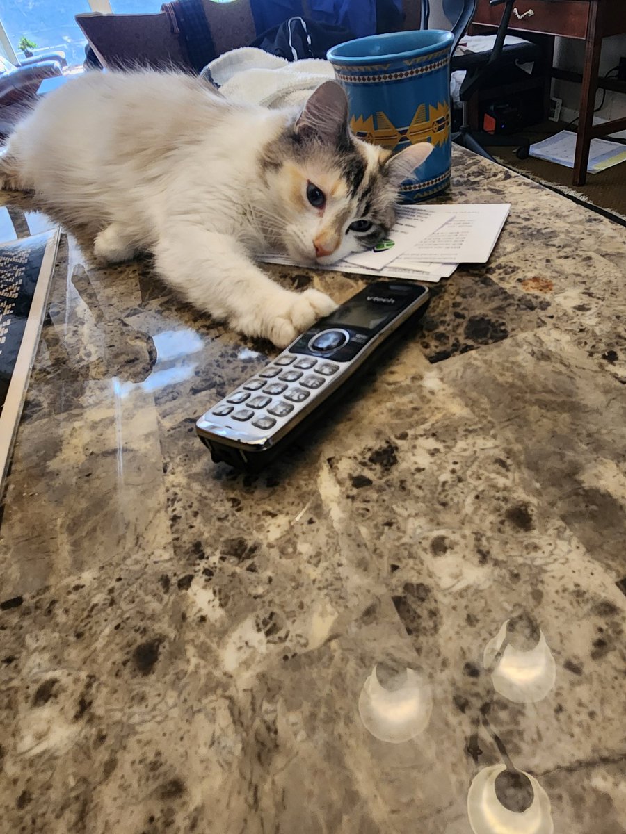 JohnBubacz's tweet photo. @ThunderPig Ditto Ophelia https://t.co/V8EZ12FEc0