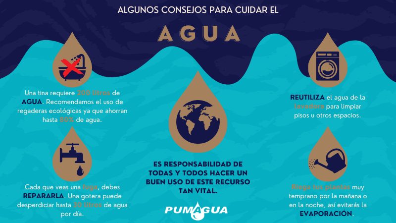 PUMAGUA's tweet image. Te ofrecemos esta Guía básica para hacer un mejor uso del #recurso más importante del #planeta.🌎🌊

Y tú ¿Ya aplicaste alguna de estas #Recomendaciones?

💦¡Sí cuidad el #Agua, cuidas a todos!💦

 #Tierra #FuturoSostenible #SeguridadHídrica #ComunidadUNAM #Pumagua