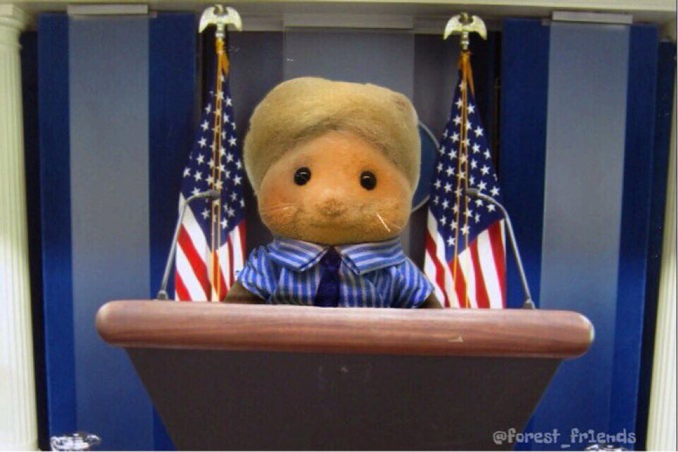 F0REST TRUMP tweet media
