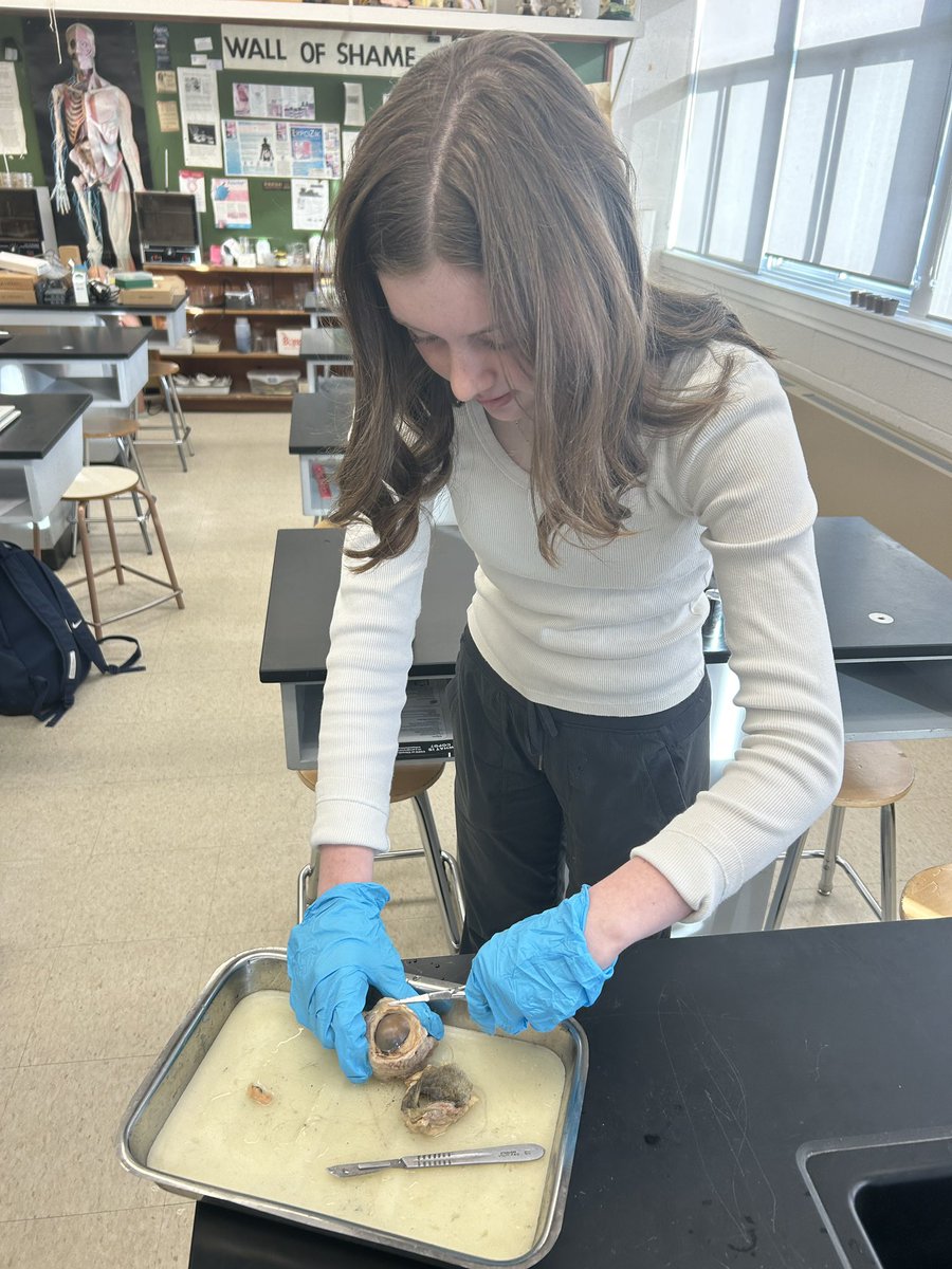 Chippewa Secondary School tweet media