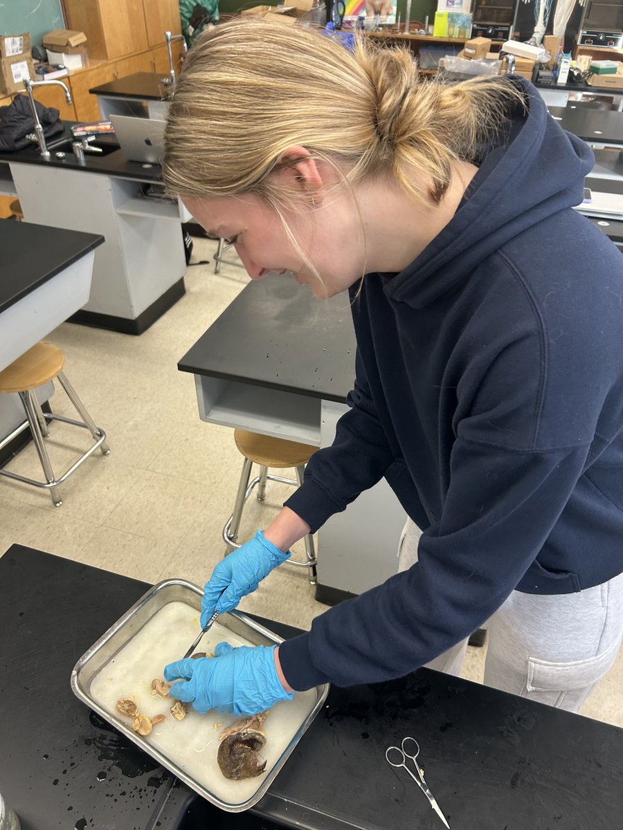 Mr. Carruthers’ ‘pupils’ were not ‘horsing around’ on this bus cancellation day in grade 10 LEAD science. Those who braved the cold learned about lenses in the eye and vision by dissecting the eye of a horse. (Sorry for the ‘cornea’ Dad jokes.) #chippewaismyhome #chippewascience