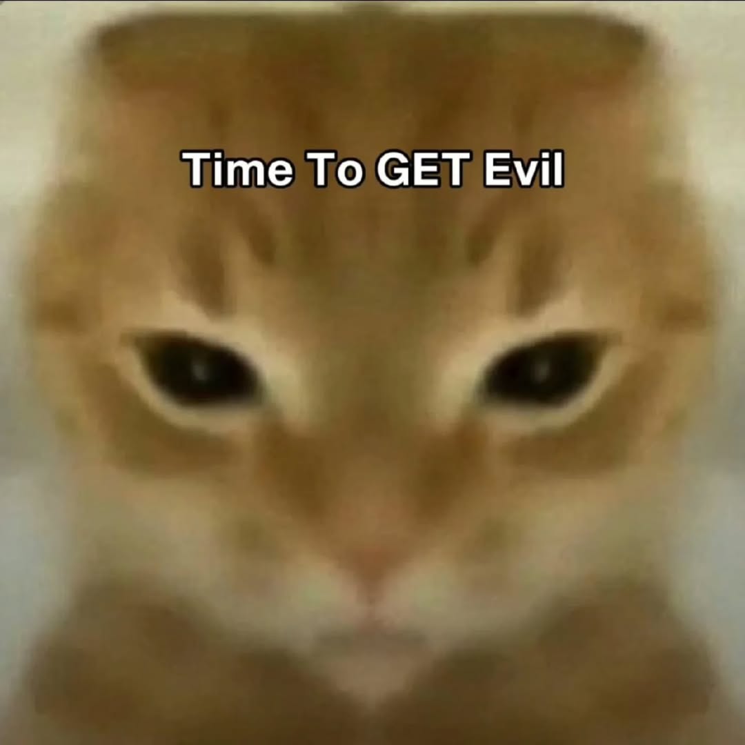 smol silly cat tweet media