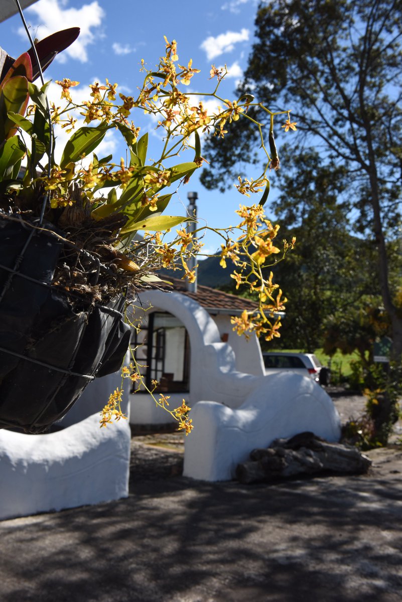 Hay novedades: Revisa nuestra web: 
sierra-alisos.com
#UnLugarDondeElTiempoSeDetiene