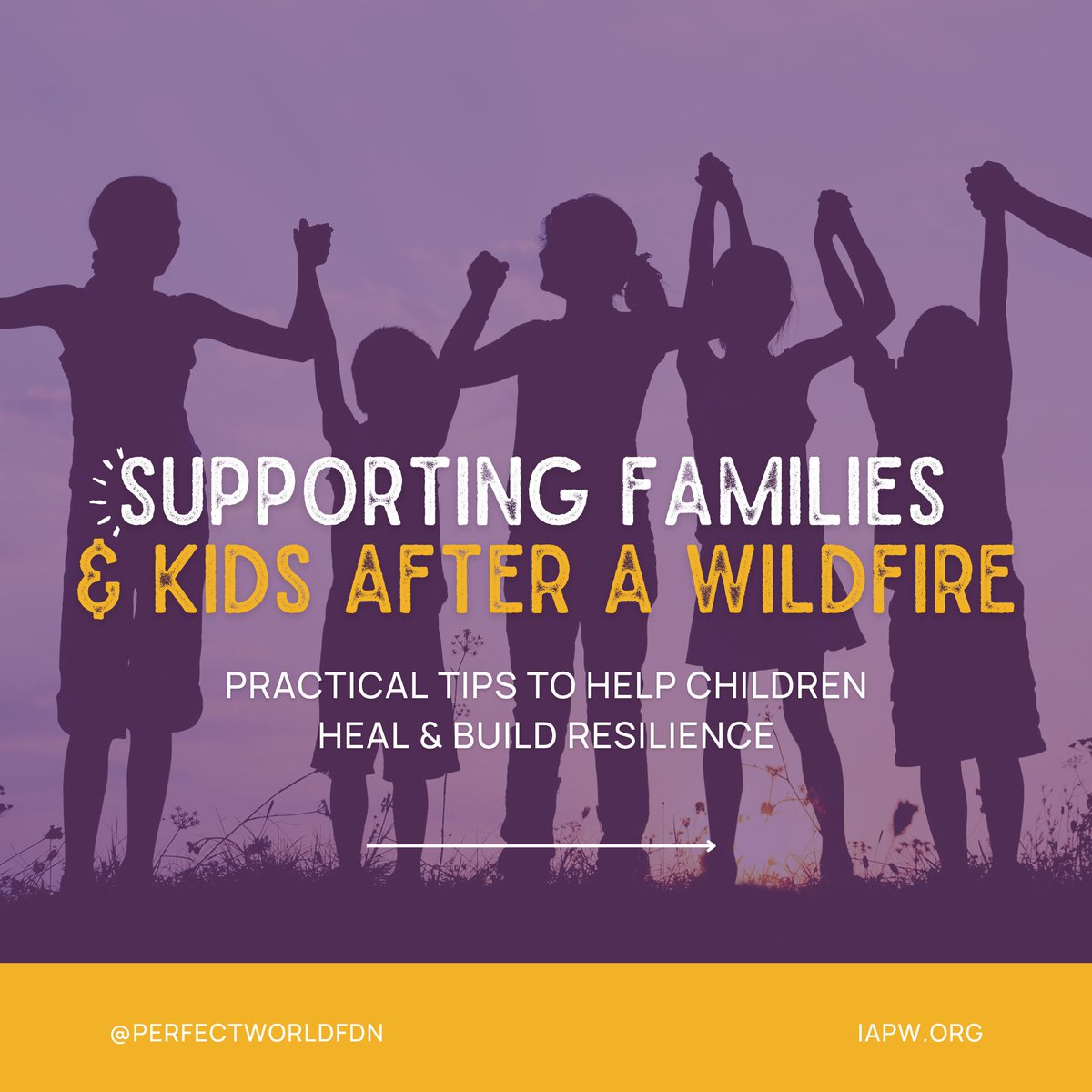 PerfectWorldFdn's tweet image. In times of recovery, having the right resources can make all the difference. From mental health support to community assistance programs, there are tools to help families navigate the path forward.

📖 Read more on our blog: iapw.org/news/supportin…