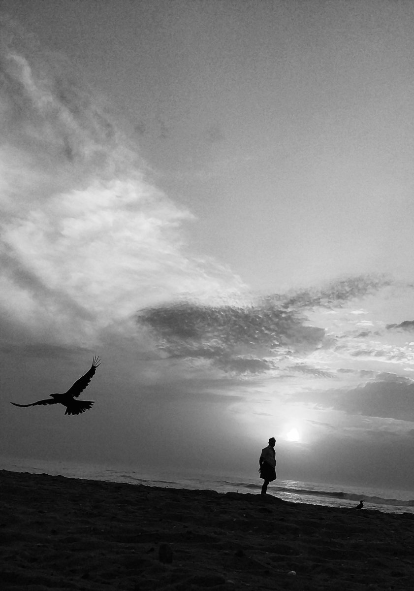 michaelarun_m's tweet photo. #MyCapture
#MyMobileShot
#PalavakkamBeach
~ Feel always the positive purpose that nothing can take away from us...Because deep within we feel, we know we can make a difference... 💕 ~
~ Good day to All... 💕 ~ https://t.co/vDHYP67Nsa