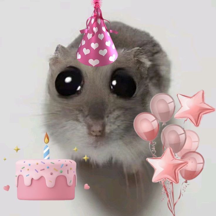 _Rich_love's tweet photo. *adds another candle on the cake* 🎉🥳 https://t.co/auwqoPxx3l