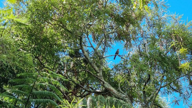 makeiteasynz's tweet photo. Despite some beautiful weather, Easy Read translators are back at work and looking forward to a busy and exciting year. Get in touch if we can help make your information accessible. https://t.co/3t5wMsAEpB
