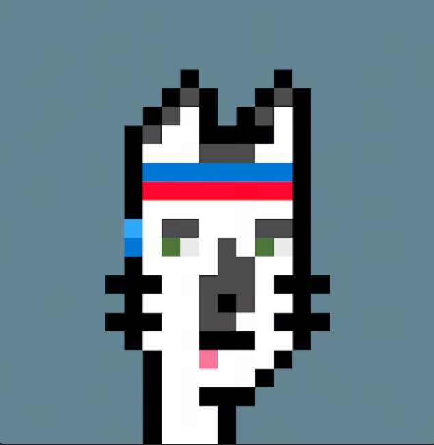 Lets goooo STOKEDD af rn!! Just minted my 'Exercise Jasper' 🐈 $RONFT !! Suits me as an athlete 😏. Props to the one and only <a href="/HodlerPete/">petehodler</a> 🔥 Your art is amazing and very appreciated. @Rontoshis_NFT <a href="/SolJakey/">Jakey</a> 

$UFD #GoodAttractsGOOD 🦄💨✨✨