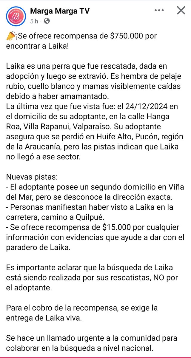 #URGENTE #PERDIDA puede estar en #VinadelMar #Valparaíso #Quilpue dada en adopción y extraviada, la buscan sus rescatistas <a href="/AnimalParaiso/">AnimalParaíso</a> <a href="/KarendTV/">Karen Doggenweiler L</a> <a href="/kattykowaleczko/">Katty Kowaleczko</a> <a href="/carolinapinoc/">Caro 🌲 C.</a> <a href="/NoticieroAnimal/">NOTICIERO ANIMAL ® 🐾</a> <a href="/Fundacion_CIMA/">Fundación C.I.M.A. Chile</a> <a href="/Fundacion_Suyai/">FundacionSuyai</a> <a href="/mascotalerta/">Fundación MASCOTALERTA</a> <a href="/fundacionstuka/">Fundación Stuka</a> <a href="/PerrosPlazaHuem/">Perras Tuiteras🐾 Barrio Franklin 🇨🇱🐶🐱</a>