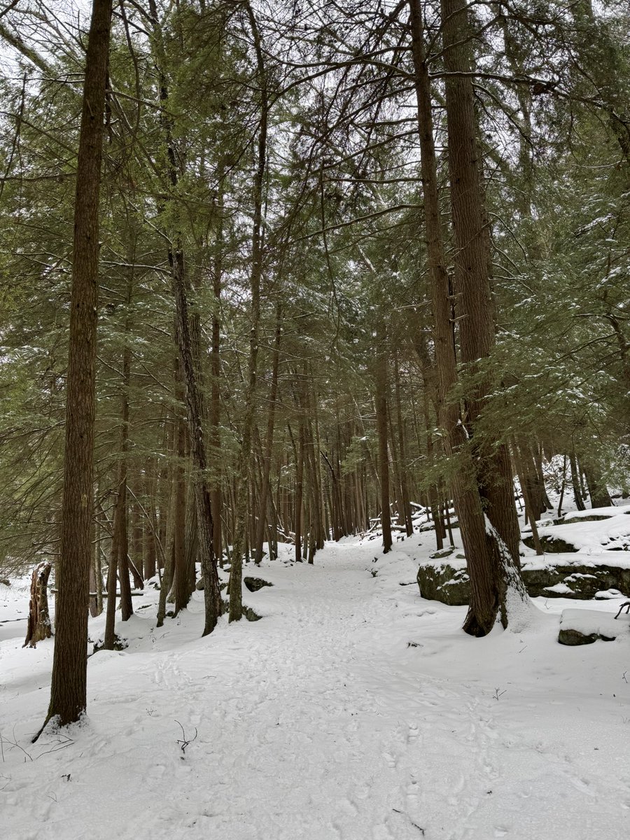 Cook State Forest annual getaway.