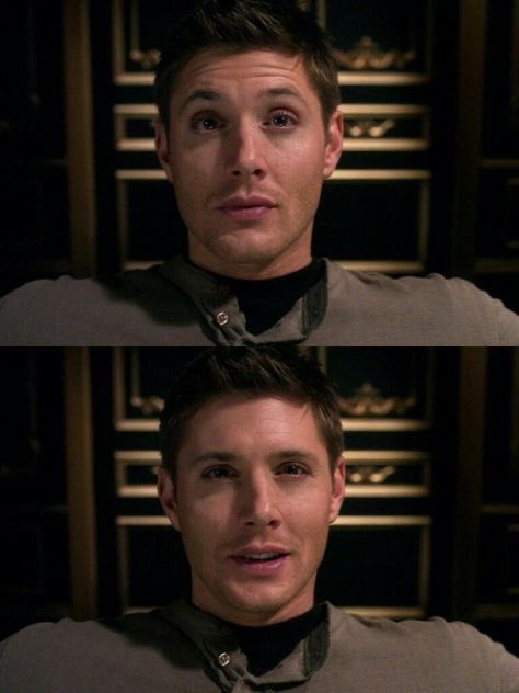comfortjensen's tweet photo. the eyes 😻 https://t.co/WI5B5e7Eah
