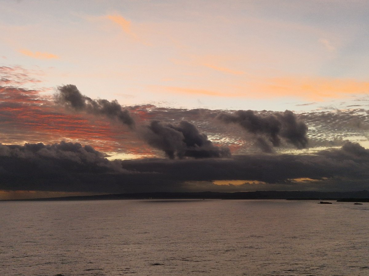 Rita Braam tweet media