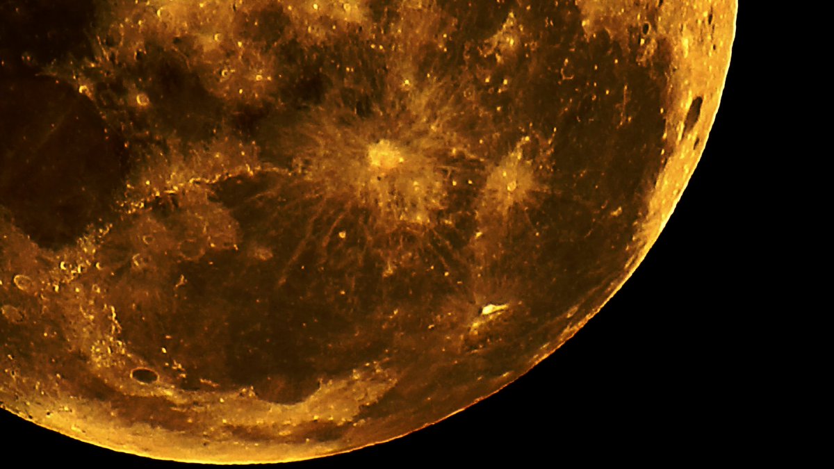 James Hawke tweet media