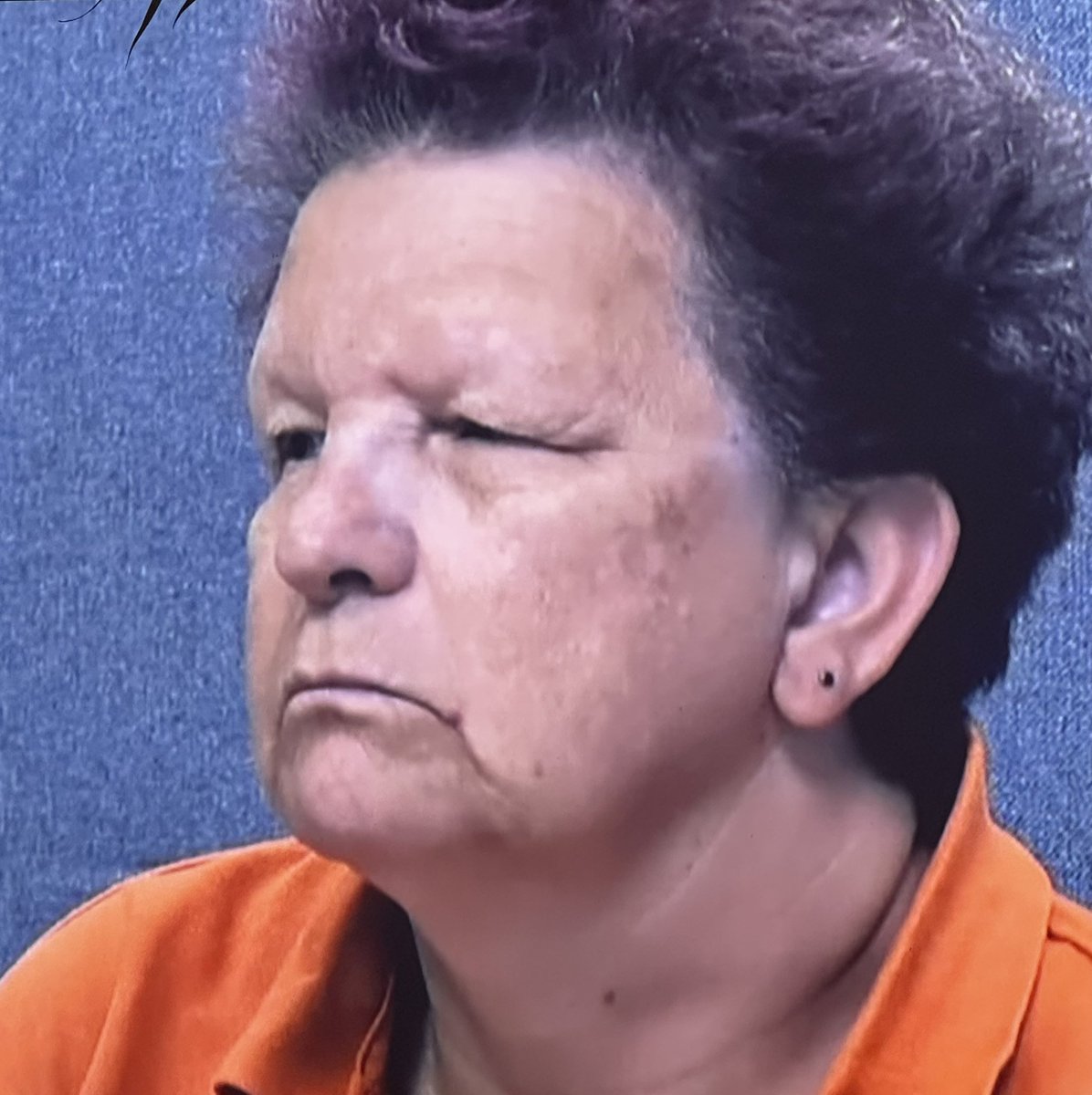 Tom_High's tweet photo. Anne Hegerty has really gone off the rails…. #24hoursinpolicecustody https://t.co/9MNwD4JLnJ
