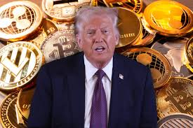 baskhawk's tweet photo. $TRUMP SECRET AIRDROP ALERT 🚨

Drop your wallet down below 💸

LIKE + RT 👍🔁

GO GO 🚀 https://t.co/XfmwZaisX8