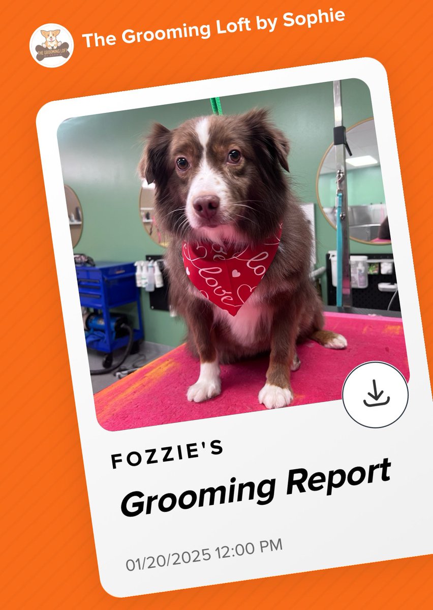 Our dogs got groomed today, and their enjoyment of the experience seemed … a little different. (Fozzie is nervous about grooming, but his report card was good, and they both look great.)