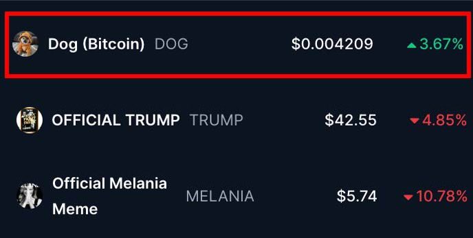 Caifa_10's tweet photo. @mcuban My favorite memecoin is $DOG
the best opportunity in crypto right now 
#1 memecoin on Bitcoin https://t.co/3UHH3qbJIl