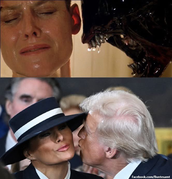 🤣