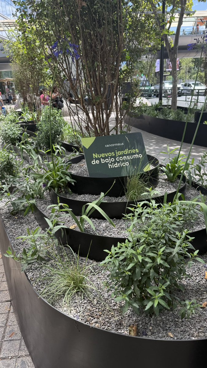 Una opción para tener más áreas verdes en una ciudad sin agua. Este es un ejemplo de Santiago, pero también podría funcionar en ciertas zonas de Lima.